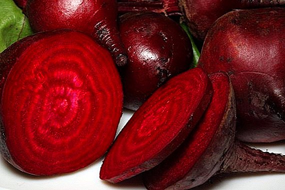 How to cook beets fast and tasty