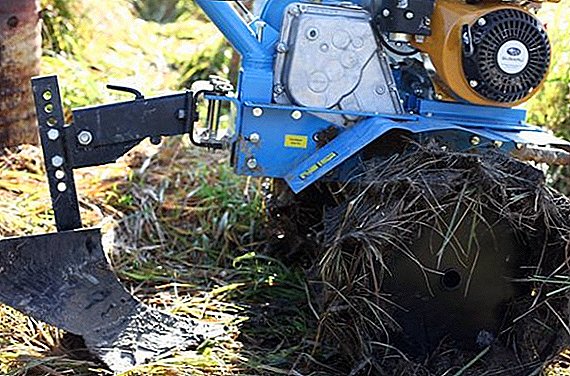 How to dig the ground by walking tractor (video)