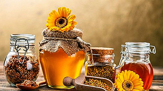 How to prepare and apply propolis on alcohol