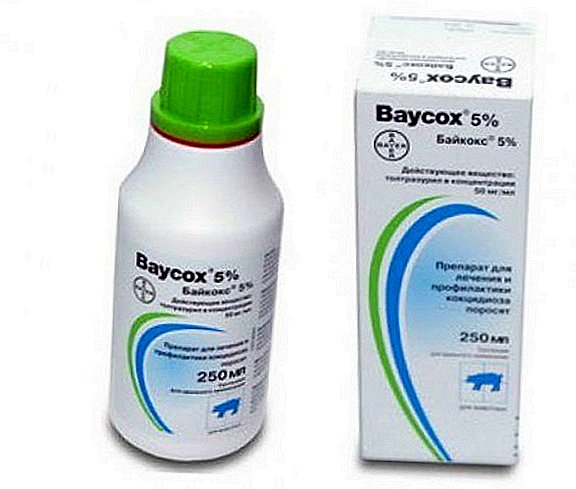 How to use the drug "Baykoks": dosage and method of administration