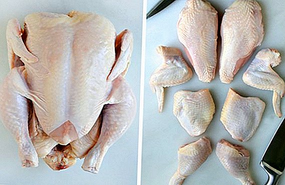 Cómo cortar el pollo: instrucciones con fotos, video.