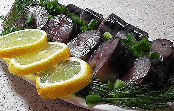 Cómo encurtir el pescado: algunas recetas para el salado, secado, decapado