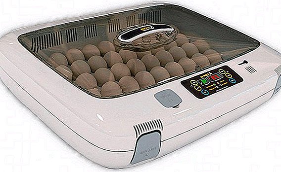 Wie wählt man den richtigen Inkubator für zu Hause aus?