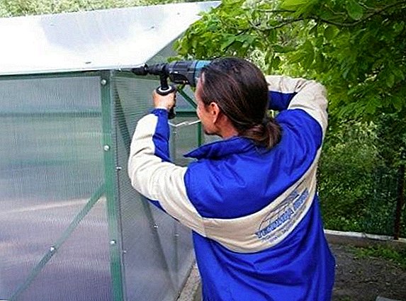 How to fix polycarbonate on a metal frame