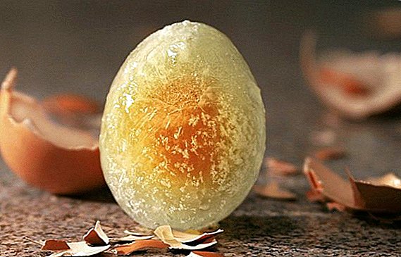Kako zamrznuti kokošja jaja