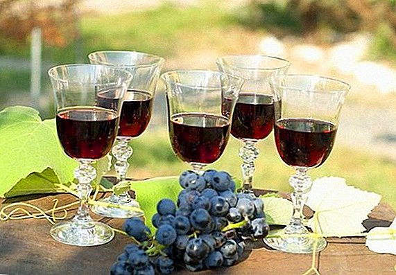 Cara membuat chacha dari buah anggur di rumah