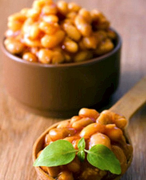 How to cook beans in tomato sauce for the winter: a simple and tasty recipe