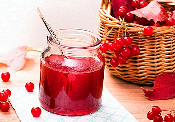 Kako kuhati viburnum s sladkorjem: pobiranje koristnih jagod za zimo