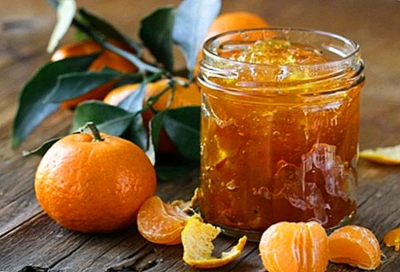 Tangerine jam koken: stap voor stap recepten met foto's