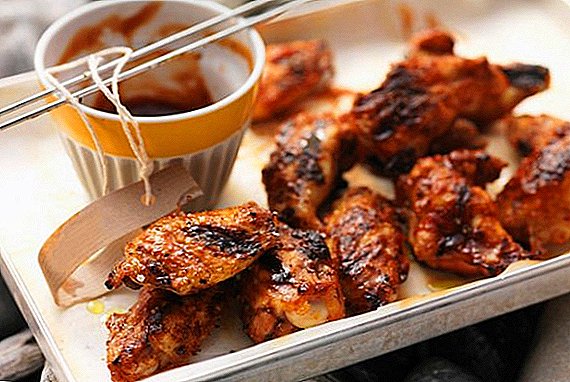 How to cook a marinade for the wings on the grill, six recipes
