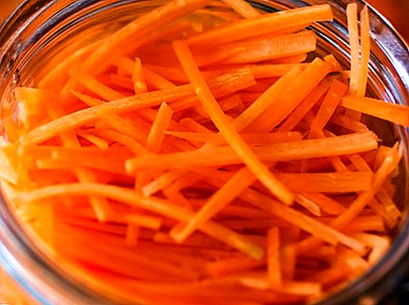 Comment cuisiner des carottes coréennes pour l'hiver à la maison: une recette simple avec des photos