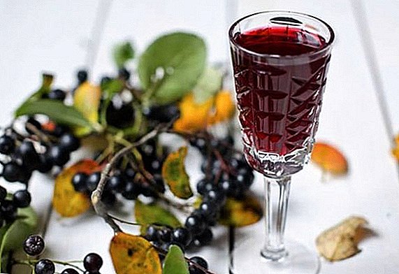How to cook blackcurrant liqueur: cooking features