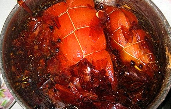 Comment faire cuire du bacon dans une pelure d'oignon: une recette détaillée avec photos