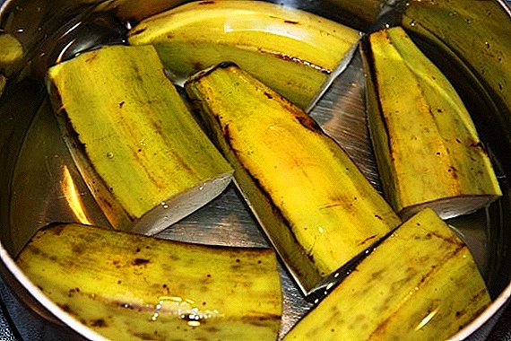 Як приготувати добриво з бананової шкірки
