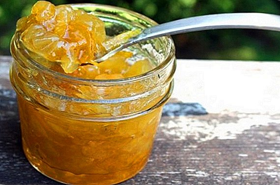 Ako urobiť džem z cukety a pomaranča na zimu doma