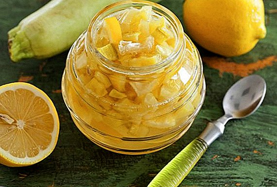 Hoe jam-courgette met citroen te koken voor de winter