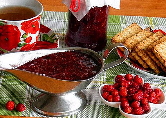 How to make a five-minute jam from forest strawberries