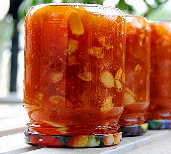 How to cook apple jam "Five minutes": a step by step recipe with photos