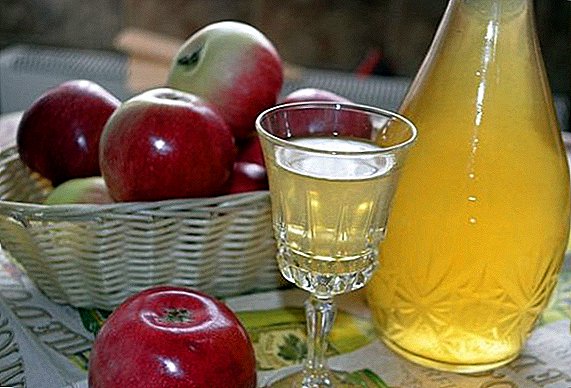 Como fazer tintura de maçã em vodka (em álcool)