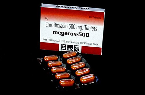 كيفية استخدام "Enrofloxacin" في الطب البيطري: تعليمات