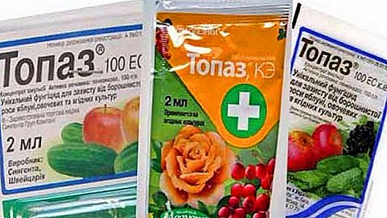 Anwendung "Topas": Beschreibung und Eigenschaften des Arzneimittels