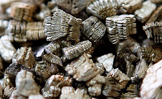How to apply vermiculite for growing plants