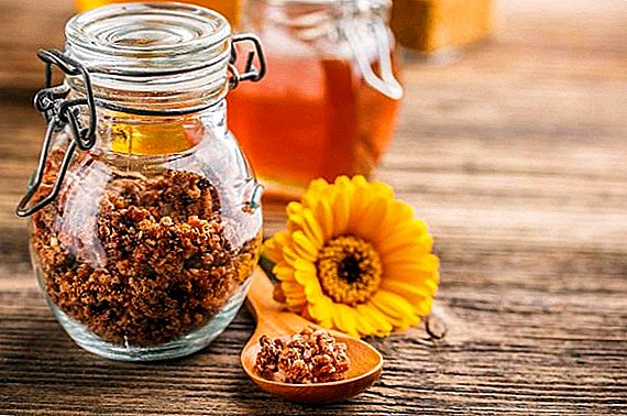 How to take bee pollen, useful properties and contraindications of the product