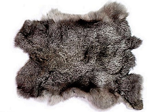 How is the manufacture of rabbit skins at home?