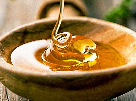How to check the quality of honey with iodine