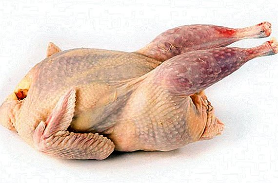 How to cut pheasant fillets