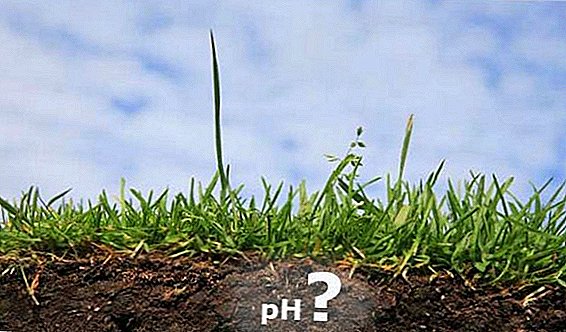 How to independently determine the acidity of the soil on the site