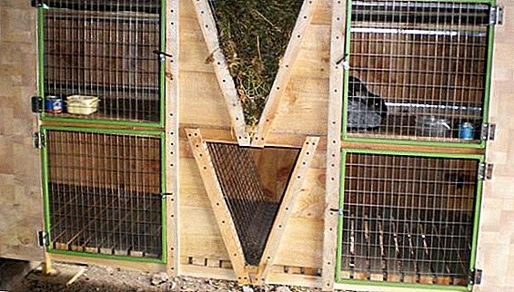 How to independently make cages for rabbits by the method of Zolotukhin