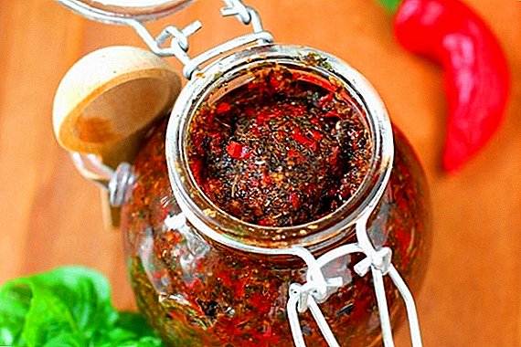 Kako narediti adjiko vroče paprike: recepti po korakih s fotografijami