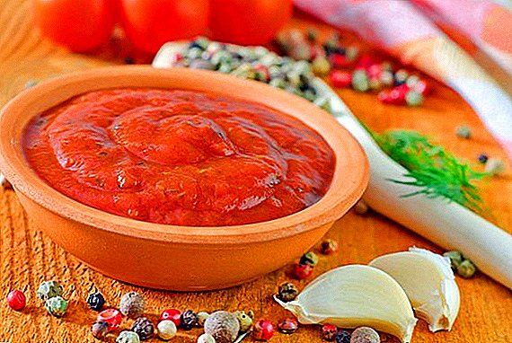 Comment faire des adjika de tomates et de poivrons pour l'hiver: une recette pas à pas pour cuisiner à la maison