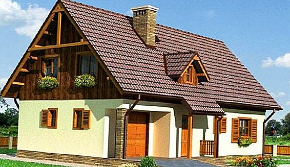 How to make a gable roof of the house, shed and garage