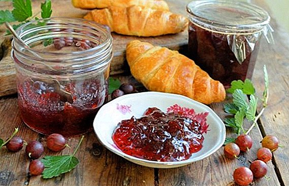 How to make gooseberry jam: the most appetizing recipes