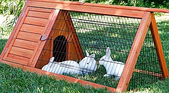 How to make a cage for a decorative rabbit with your own hands