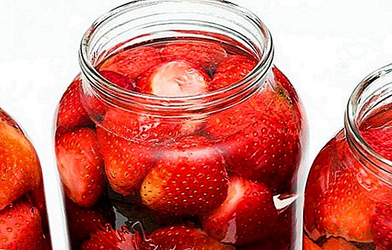 Hur man gör en jordgubbskompot för vintern: ett steg för steg recept med foton