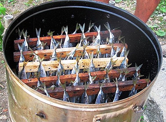 How to make hot smoked smokehouse out of available tools