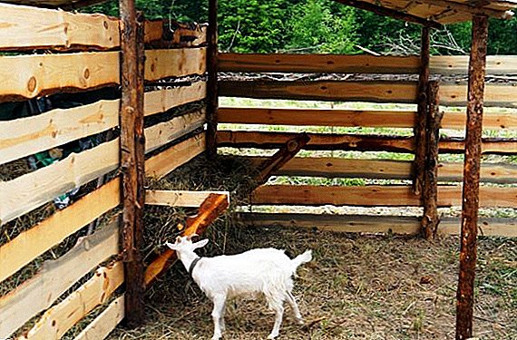 How to make a goat feeder with your own hands?