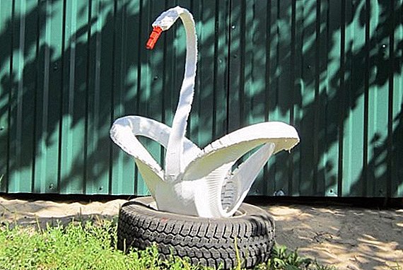 How to make swans from tires: a step-by-step master class with photos