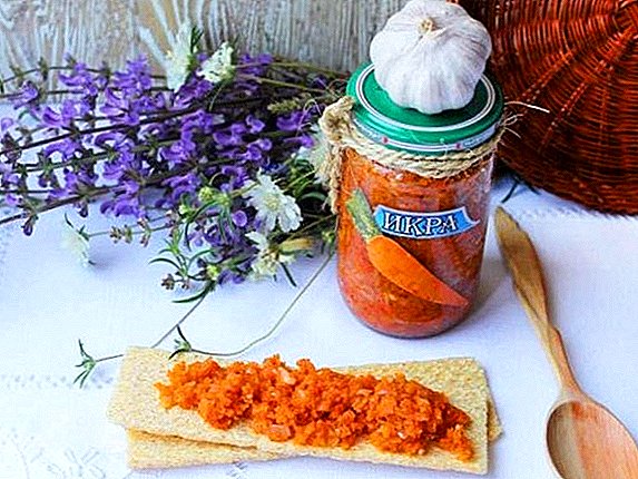 Kako napraviti mrkvu kavijar: korak-po-korak recept za žetvu za zimu