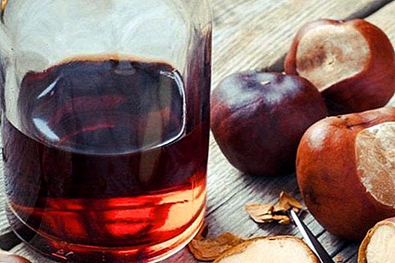 How to make a tincture of horse chestnut. Health Benefits