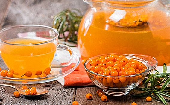 How to make sea buckthorn compote: step-by-step recipe with photos