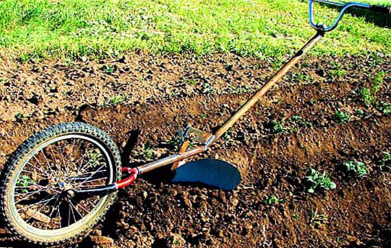 Як зробити окучник для картоплі з старого велосипеда
