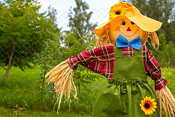 How to make a scarecrow to give