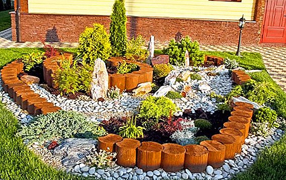 How to make rockeries with your own hands