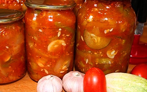 Hur man gör en sallad av gurkor och tomater för vintern