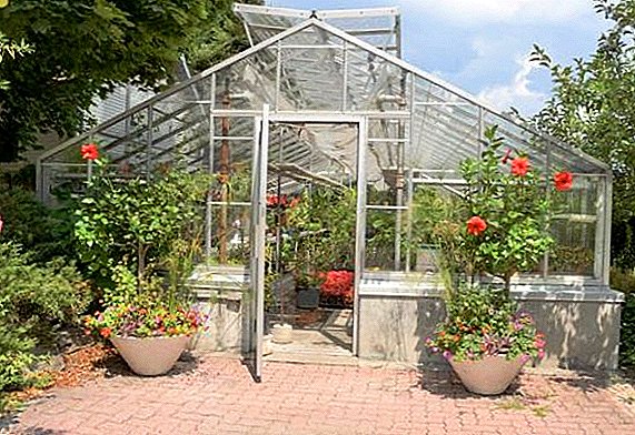 How to make a greenhouse with an opening roof with your own hands