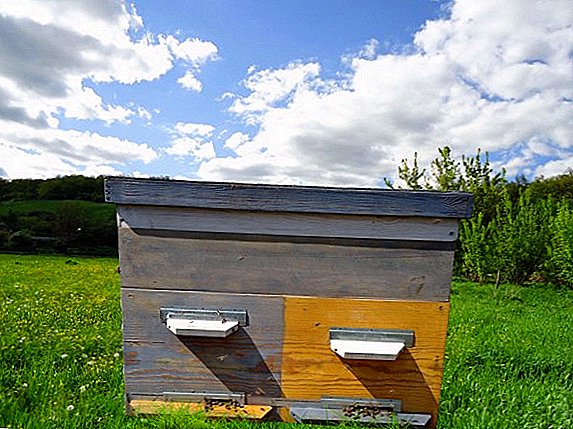 How to make a beehive Dadan yourself